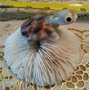 White coral With Shell Turtle Fish Aquarium Tank C